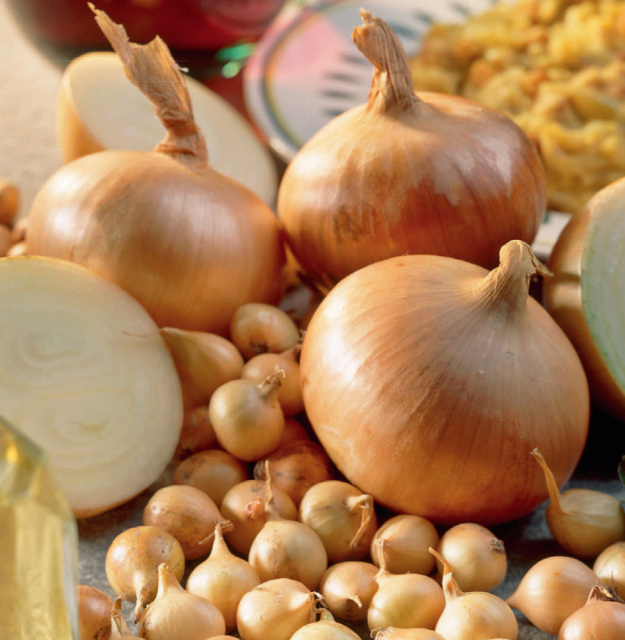 Onion & Garlic Bulbs